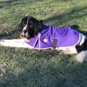 Meet your Posher, Milena